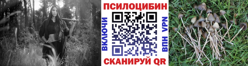 Псилоцибиновые грибы MAGIC MUSHROOMS  Купить  Салаир 